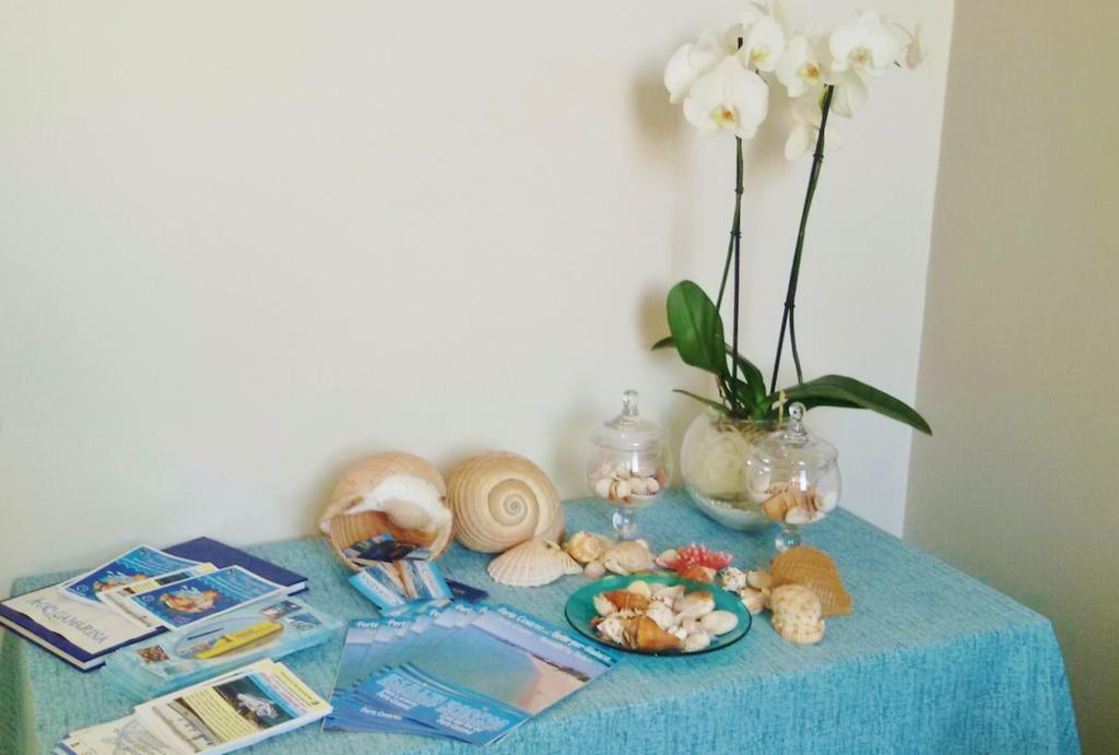 Acquamarina B&B Porto Cesareo Dış mekan fotoğraf